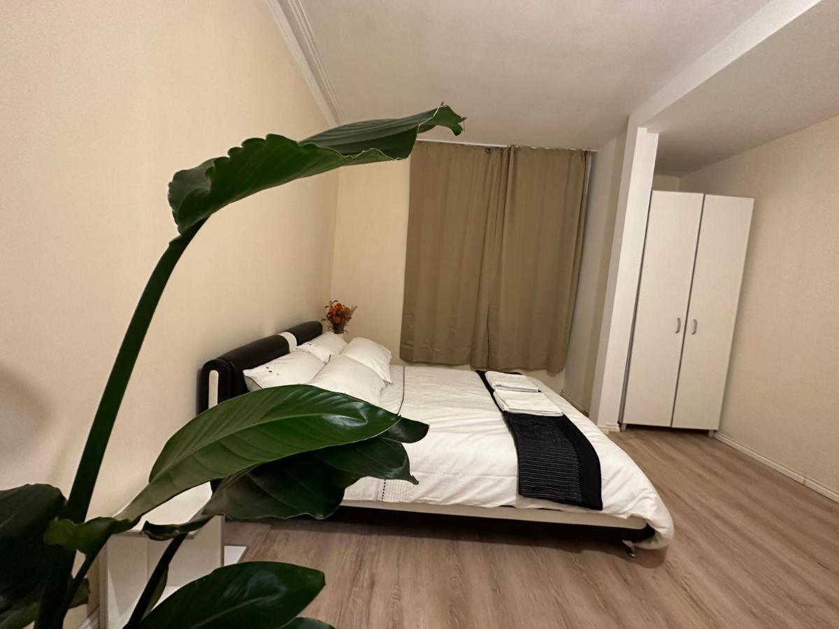 North London A Spacious 7 Bedroom House Accommodating Up To 18 People Complete With Own Gym And Table Tennis Dış mekan fotoğraf